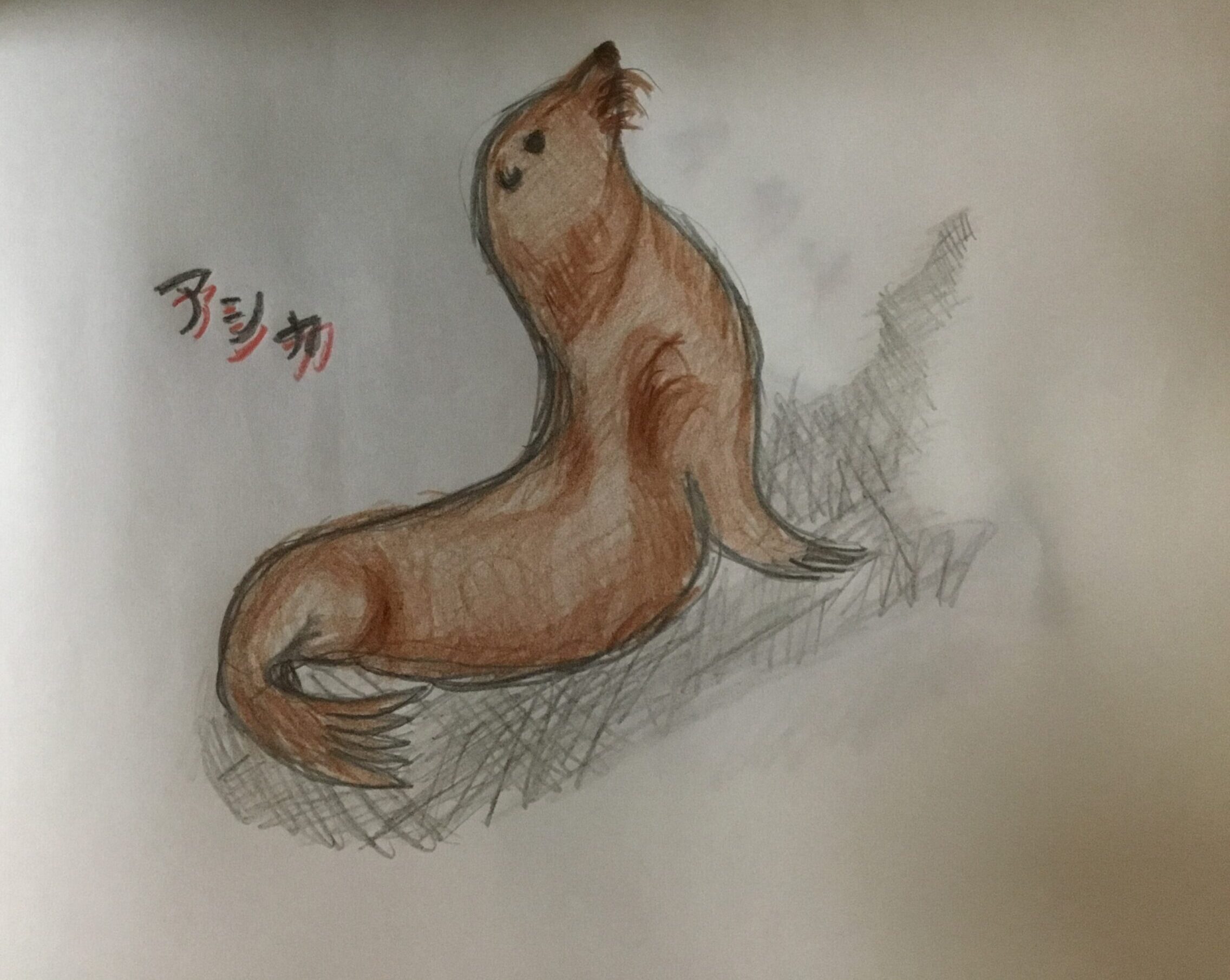 奇跡の島ガラパゴス諸島に生息する独自進化を遂げた動物たち Toshitokibou