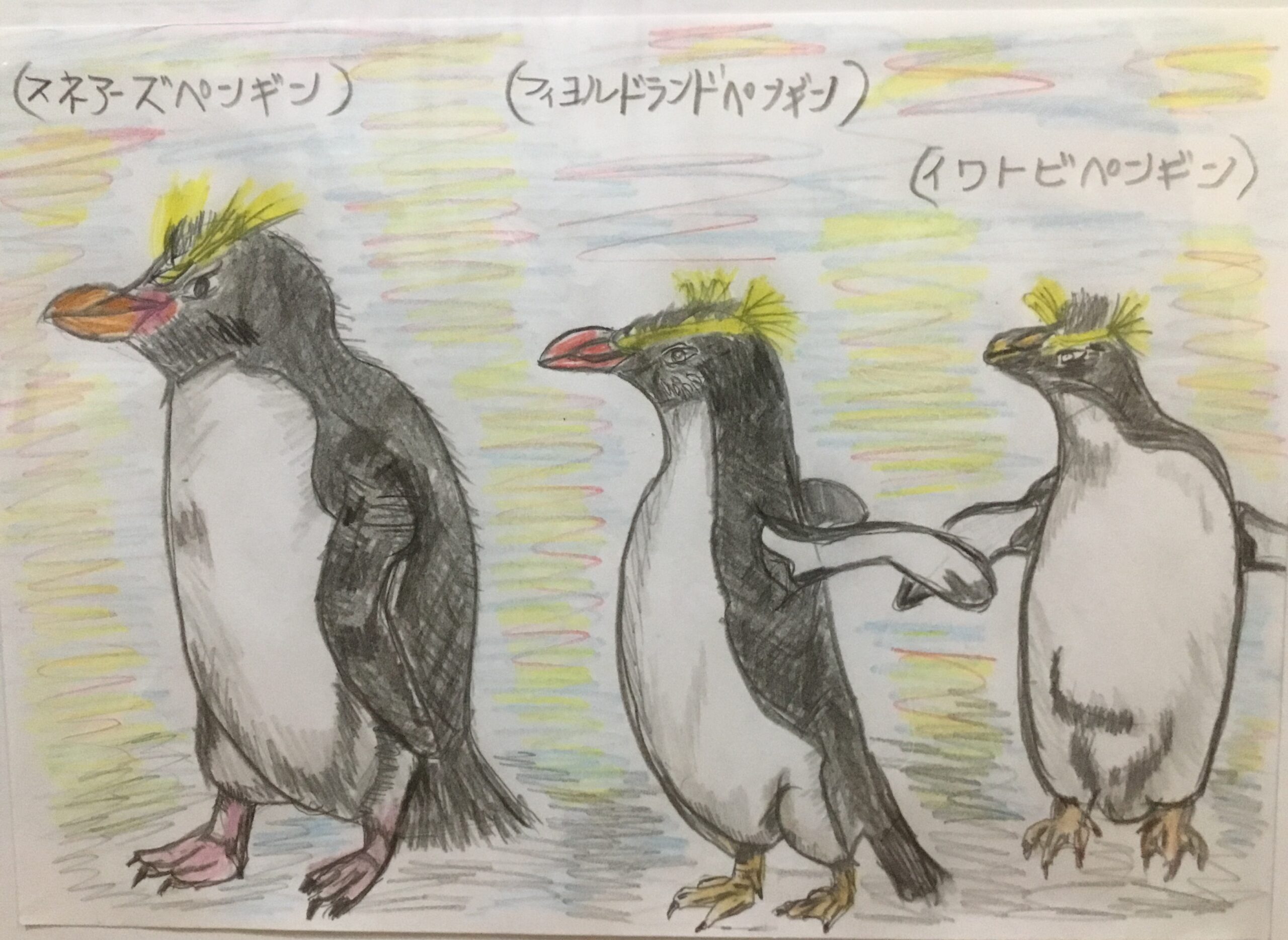 ストラップペンギンｇ ４６ｓ おすすめ