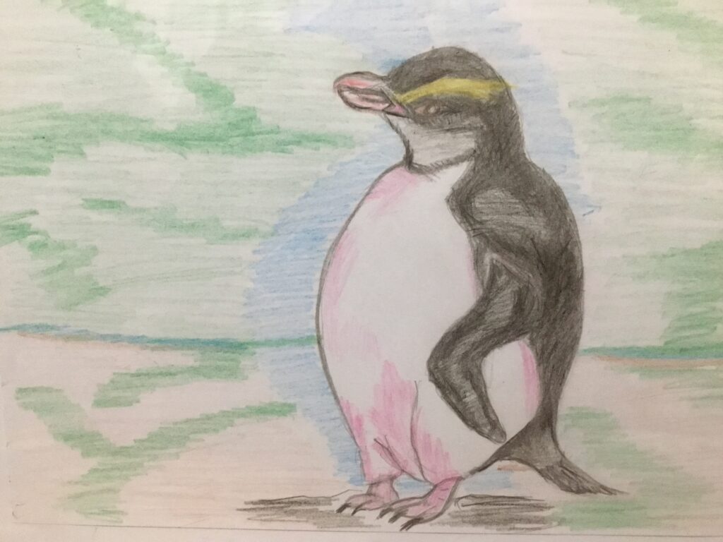 スネアーズペンギン巣立ち後1年