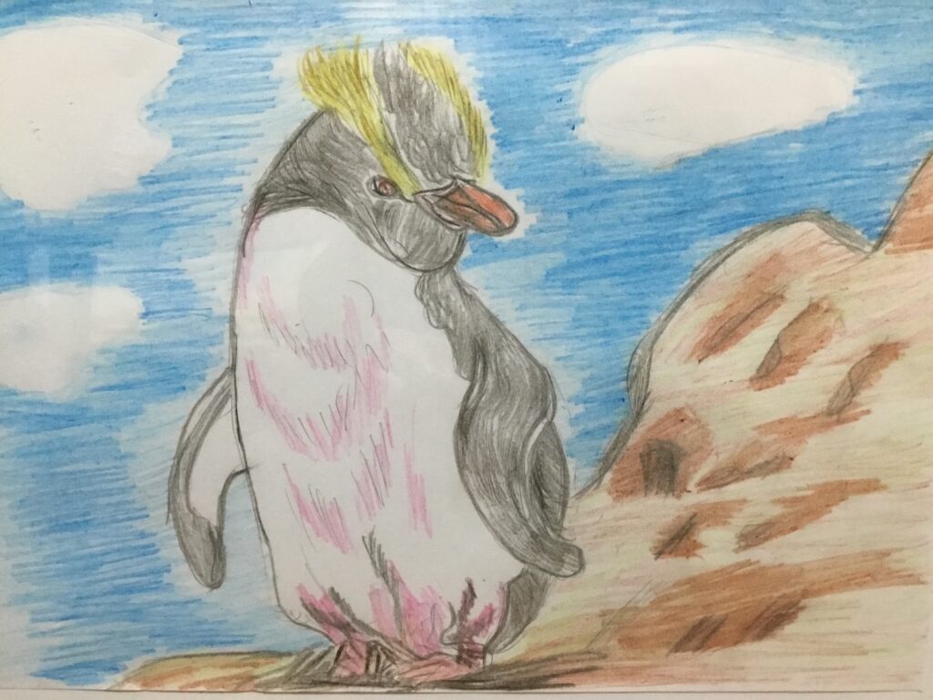 シュレーターペンギン