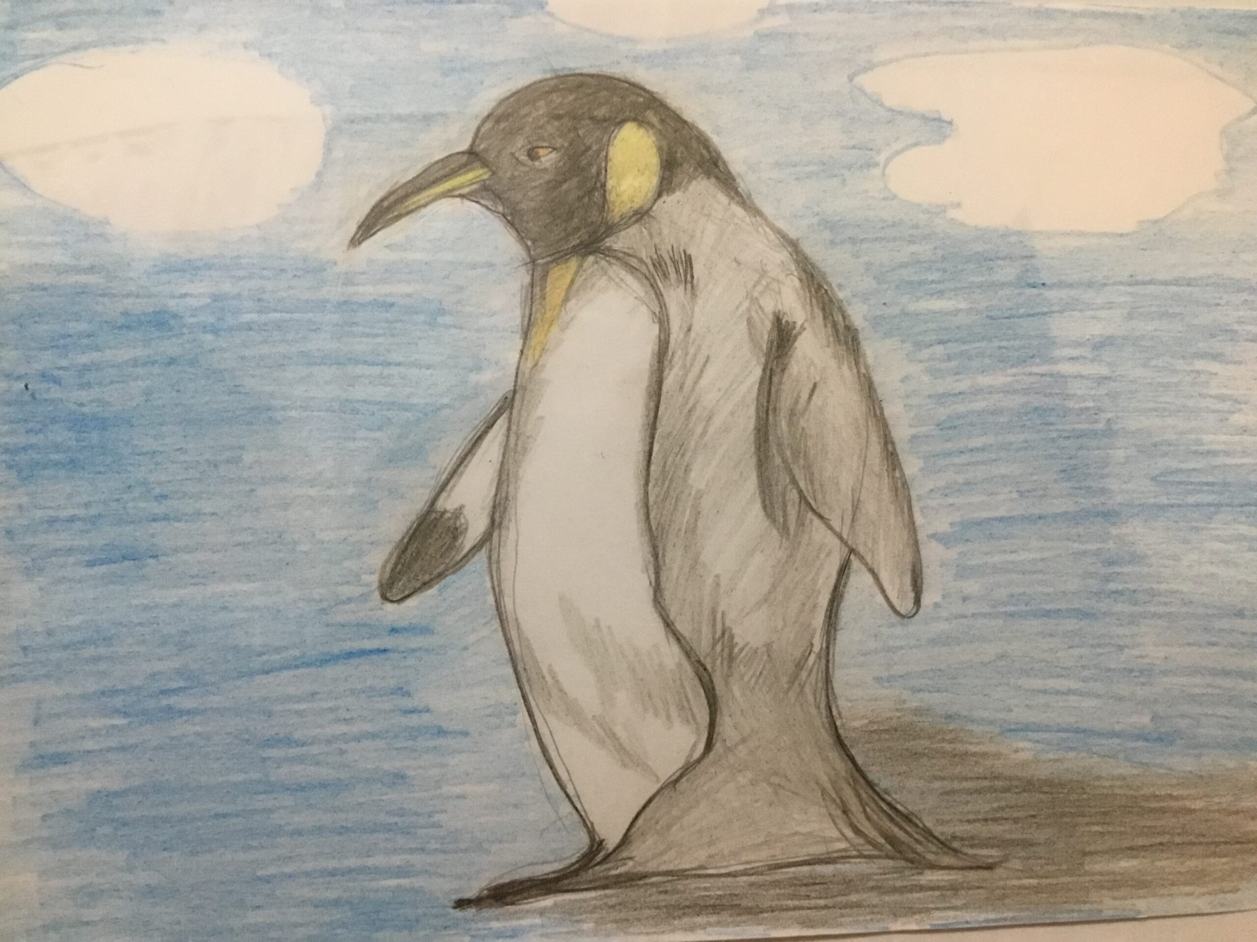 攻撃的かオウサマペンギンの性格は赤ちゃんの事と繫殖地と生息地は Toshitokibou